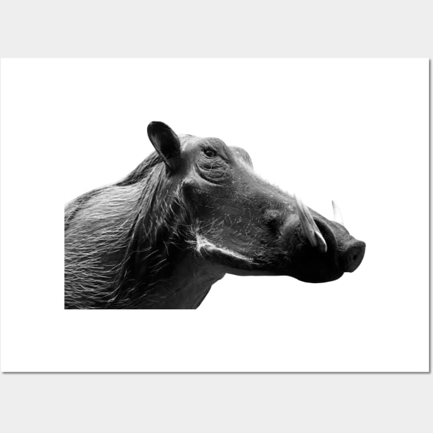 Warthog Pig / Swiss Artwork Photography Wall Art by RaphaelWolf